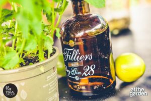 Gin Tonic Bar Horecare personeel Evenement organiseren Maastricht Limburg Valkenburg Heuvelland Sittard Geleen Heerlen Parkstad